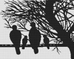 (image for) The Bird Family